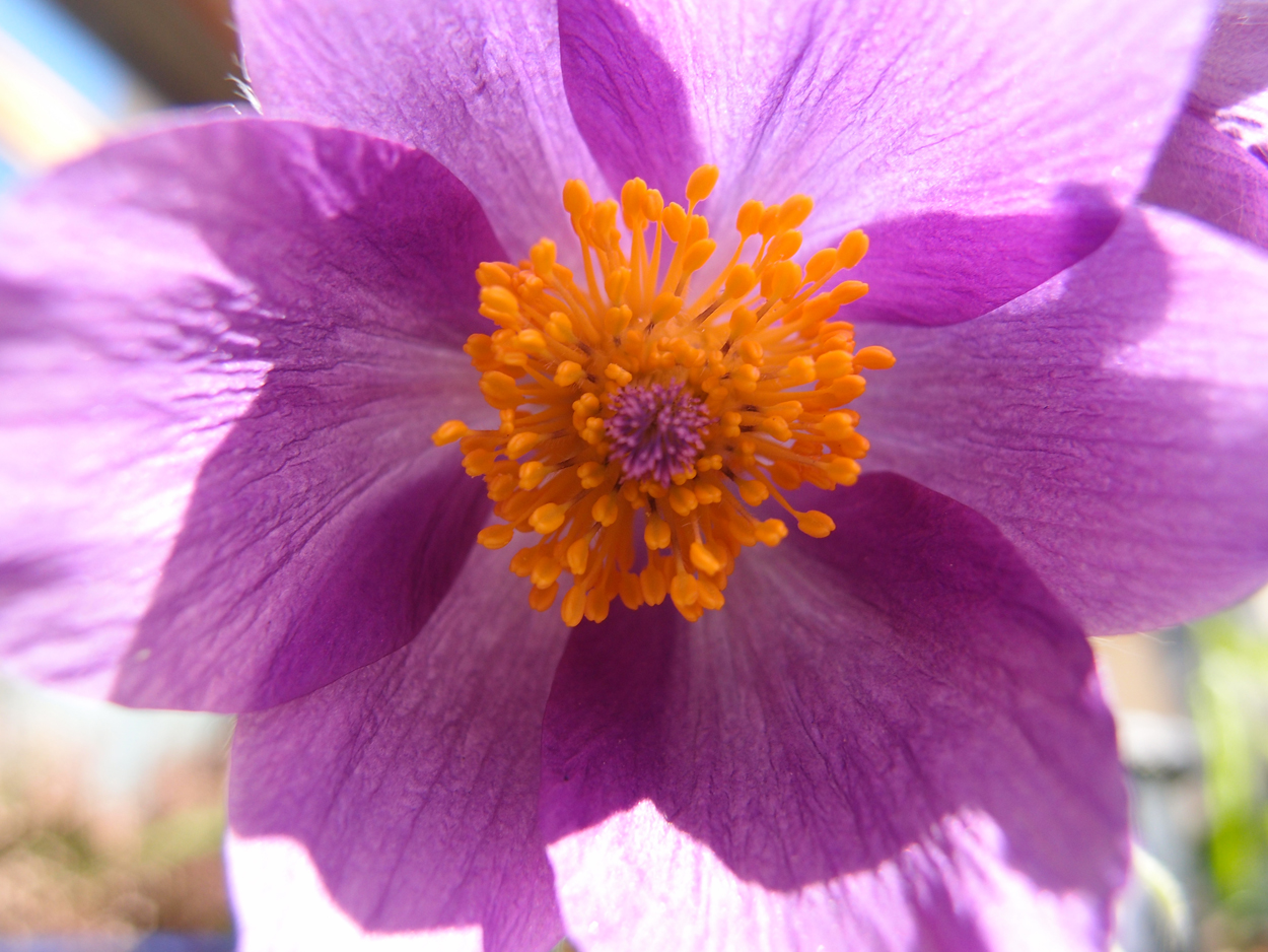 2019-04-24 wendel - der Garten